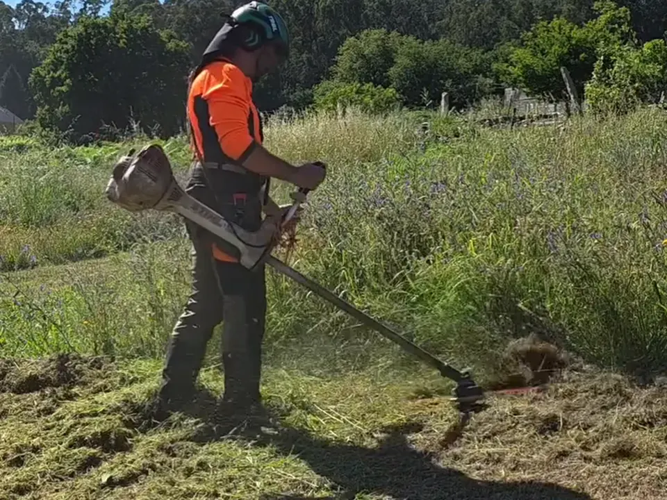 Desbroce con desbrozadora de mano en una finca gallega